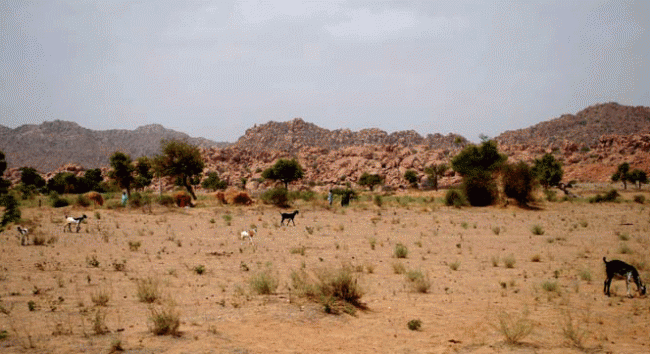Thar Drought; Calling a Dead Nation to Life